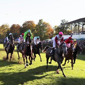 Bild: Renntage auf der Galopprennbahn Scheibenholz