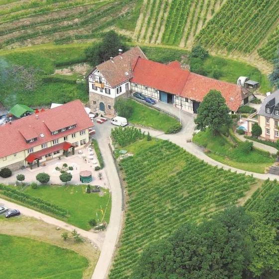Weingut Freiherr von Neveu