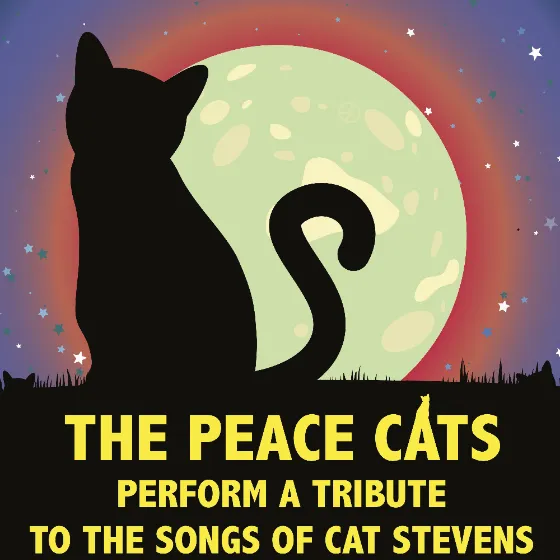 Bild: The songs of Cat Stevens
