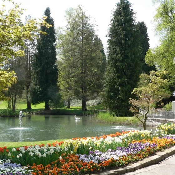 Kurpark Bad Wildungen