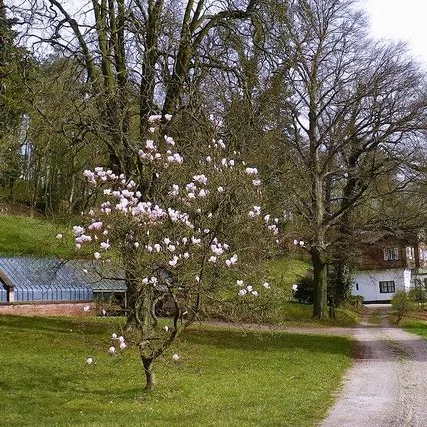 Landschaftspark Friedrich von Gienanth