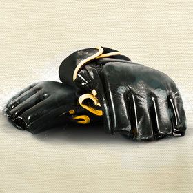 Bild: Mixed Martial Arts (MMA) - Event Series