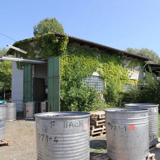 Traubenannahmestelle WG Bischoffingen-Endingen
