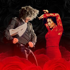 Flamenco - Rosas Negras