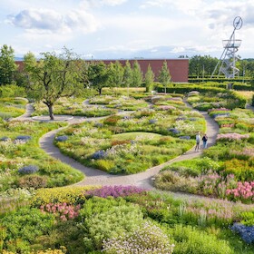 Oudolf Garten mit Gärtner Wolfgang Müller Do. 18.07.2024 um 1800 Uhr