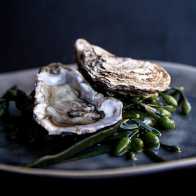 Küchenhandwerk – Austern- und Kaviarseminar