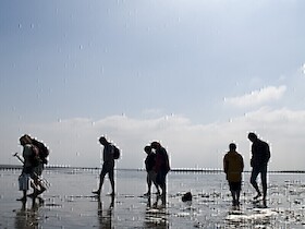 Entdecke das Watt - Geführte Wattwanderung im Nordseebad Otterndorf