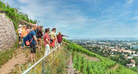Kräuterwein und Weinelexiere