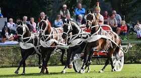 Neustädter Hengstparade 2025