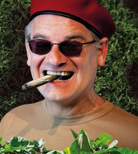 Bild: GASTSPIEL  Ausbilder Schmidt • UNKRAUT VERGEHT NICHT - 25 Jahre Anschiss