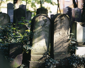 Stadtspaziergänge 2025