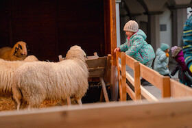 Familienstadtführung zur Weihnachtszeit