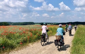 Geführte Fahrradtour rund um den Klosterflecken Ebstorf