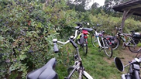 Geführte Fahrradtour rund um den Klosterflecken Ebstorf