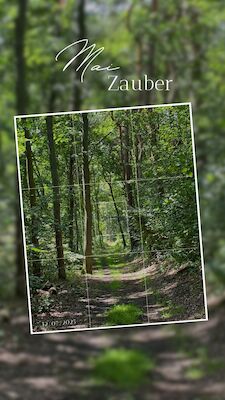 Mai-Zauber: Entschleunigung & Achtsamkeit in der Natur