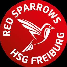 3.Liga Nord-Ost Saison 24/25