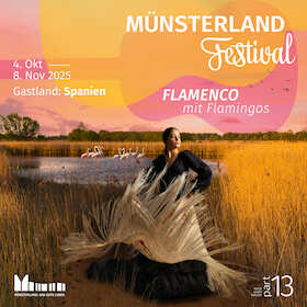Münsterland Festival part 13: Kombi-Tickets