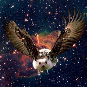 Bild: Eagel Slam 1000 - Poetry Slam Moabit