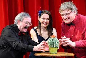 Bild: Die Kaktusblüte - Viel Meinung – wenig Ahnung