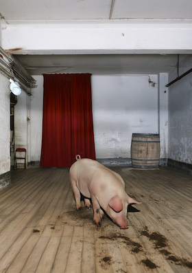 Bild: Der Theatermacher - Komödie von Thomas Bernhard