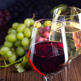 Wein, sonst nix – Verkostung mit Bärbel Ring