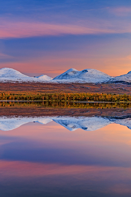 Ingo Arndt, David Hettich, Markus Mauthe, Bernd Römmelt live: - Jäger des Lichts 2 – Leidenschaft Naturfotografie