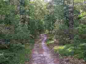 Wanderungen in der Region Uelzen
