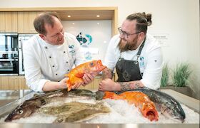 Bild: "Fisch und Spargel - die perfekte Partnerschaft"