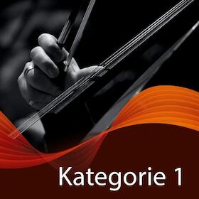 Bild: 10er-Vorteils-Paket - Kategorie 1 - 10 Konzerte