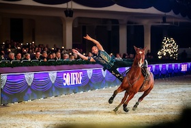 Bild: Mittwochabend - das große Weihnachtsfest der Pferde 2026