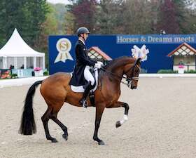 Bild: Horses & Dreams - Tagesveranstaltung Donnerstag