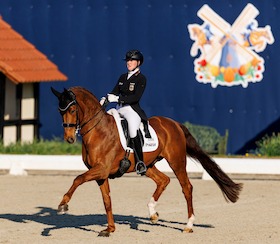 Bild: Horses & Dreams - Tagesveranstaltung Freitag