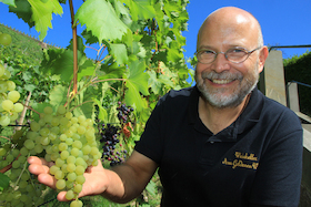 Bild: Kleine Weinbergwanderung - mit moderierter 4-Weinprobe durch die Radebeuler Weinberge für 3h