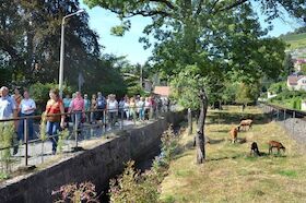 Bild: Exklusive Weinwanderung mit Speis und Trank - Exklusive kulinarische Weinführung mit moderierter 6er- Weinprobe für 5h