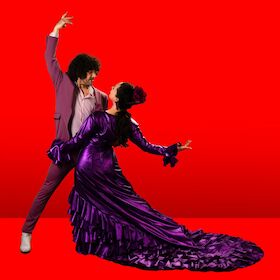 Bild: Flamenco - Rosas Negras