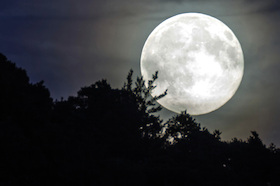 Bild: Vollmondwanderung