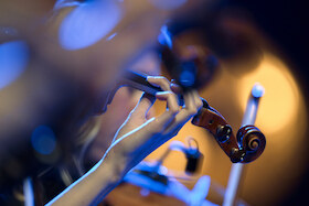 Bild: folkBALTICA Showcase - Folk in Blüten // Folk I Flor