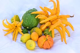 Bild: Geschmack der Citrus