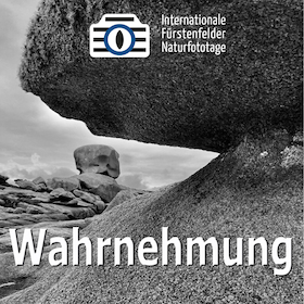 Bild: WS Wahrnehmung - Gleich und doch ganz anders - MIT € 30 CEWE-GUTSCHEIN