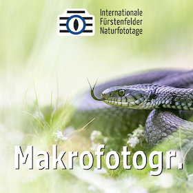 Bild: WS - Makro-Fotografie vor der Haustür