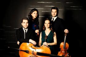 Bild: Minetti Quartett (Wien)