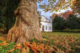 Bild: Auf den Spuren von Paul Klee - Auf den Spuren von Paul Klee