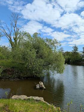 Die Lahn - unser Stadtfluss