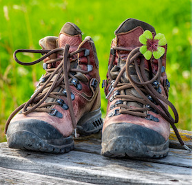 Bild: Glückswanderung - Singlewanderung mit Glücksmomenten