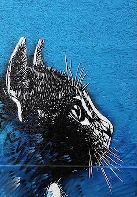 Bild: Mit dem Rad die Stadt entdecken - Street Art