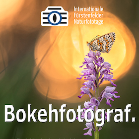 Bild: WS Bilder mit Bokeh