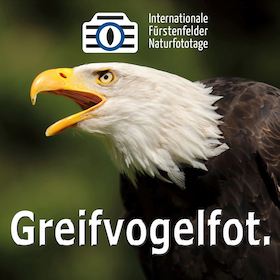 Bild: WS Greifvogelfotografie