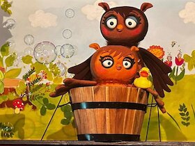 Bild: Die Eule mit der Beule