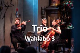 Bild: Wahlabo 3 - Trio