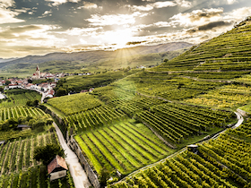 Bild: Masterclass: Grüner Veltliner - Die Vielfalt Niederösterreichs im Glas